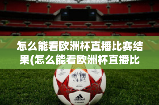 怎么能看欧洲杯直播比赛结果(怎么能看欧洲杯直播比赛结果视频)