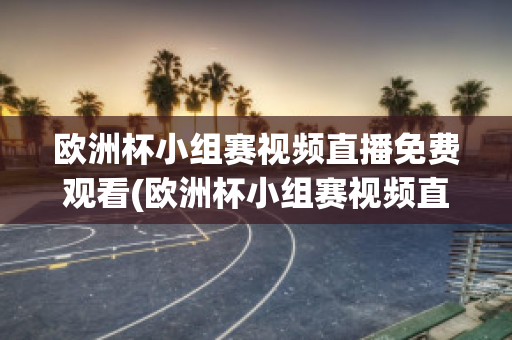 欧洲杯小组赛视频直播免费观看(欧洲杯小组赛视频直播免费观看高清)