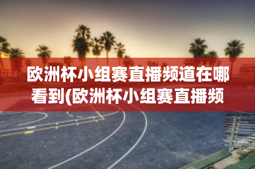 欧洲杯小组赛直播频道在哪看到(欧洲杯小组赛直播频道在哪看到回放)