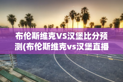 布伦斯维克VS汉堡比分预测(布伦斯维克vs汉堡直播)