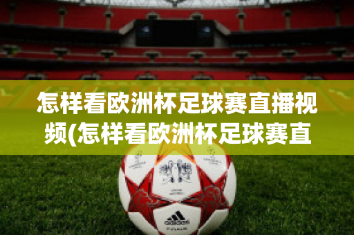 怎样看欧洲杯足球赛直播视频(怎样看欧洲杯足球赛直播视频呢)