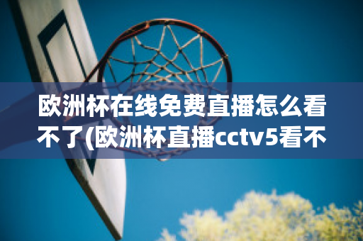 欧洲杯在线免费直播怎么看不了(欧洲杯直播cctv5看不了)