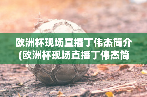 欧洲杯现场直播丁伟杰简介(欧洲杯现场直播丁伟杰简介图片)