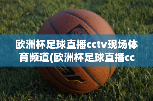 欧洲杯足球直播cctv现场体育频道(欧洲杯足球直播cctv现场体育频道在线观看)