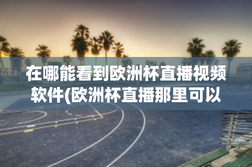 在哪能看到欧洲杯直播视频软件(欧洲杯直播那里可以看)