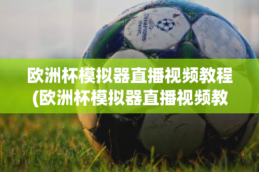 欧洲杯模拟器直播视频教程(欧洲杯模拟器直播视频教程大全)