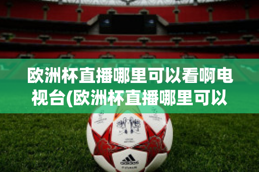 欧洲杯直播哪里可以看啊电视台(欧洲杯直播哪里可以看啊电视台回放)