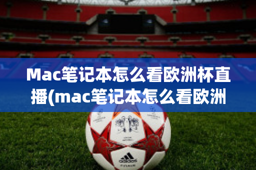 Mac笔记本怎么看欧洲杯直播(mac笔记本怎么看欧洲杯直播回放)