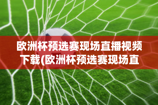 欧洲杯预选赛现场直播视频下载(欧洲杯预选赛现场直播视频下载网站)