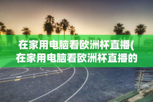 在家用电脑看欧洲杯直播(在家用电脑看欧洲杯直播的软件)