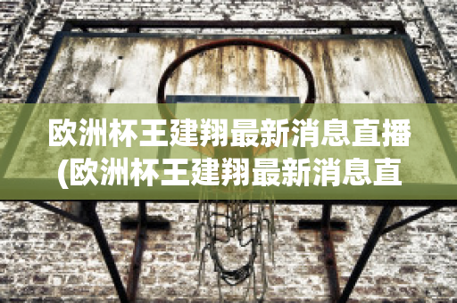 欧洲杯王建翔最新消息直播(欧洲杯王建翔最新消息直播在哪看)