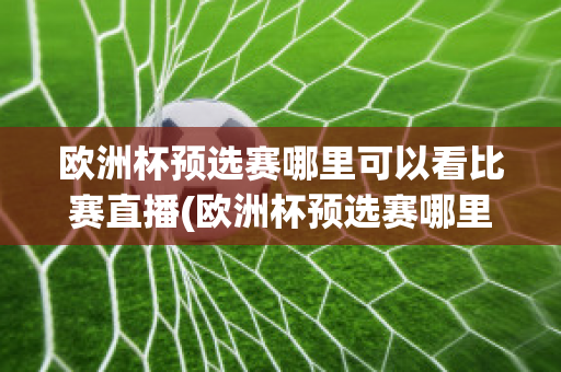 欧洲杯预选赛哪里可以看比赛直播(欧洲杯预选赛哪里可以看比赛直播啊)