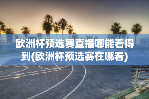 欧洲杯预选赛直播哪能看得到(欧洲杯预选赛在哪看)