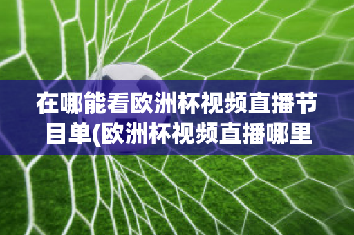 在哪能看欧洲杯视频直播节目单(欧洲杯视频直播哪里可以看)