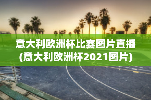 意大利欧洲杯比赛图片直播(意大利欧洲杯2021图片)