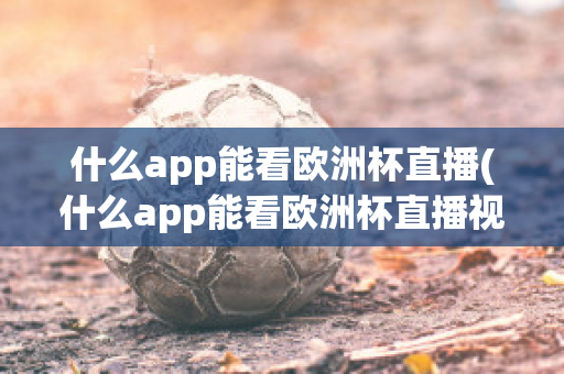 什么app能看欧洲杯直播(什么app能看欧洲杯直播视频)