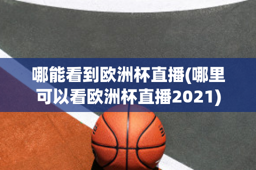 哪能看到欧洲杯直播(哪里可以看欧洲杯直播2021)