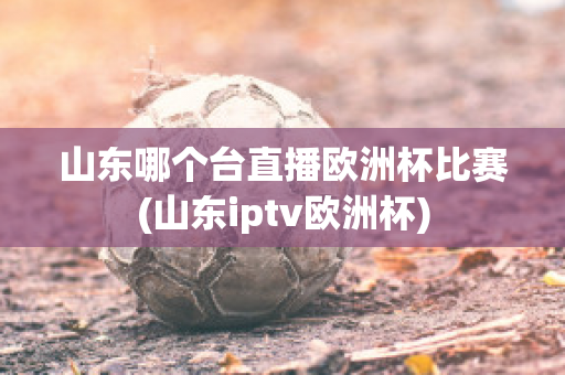 山东哪个台直播欧洲杯比赛(山东iptv欧洲杯)