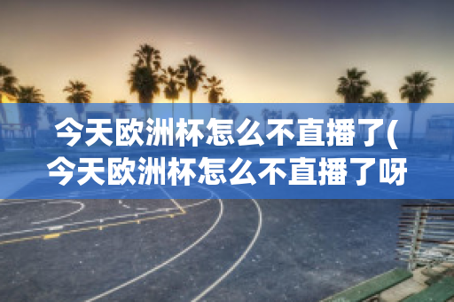 今天欧洲杯怎么不直播了(今天欧洲杯怎么不直播了呀)