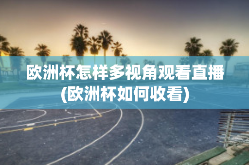 欧洲杯怎样多视角观看直播(欧洲杯如何收看)