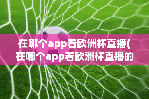 在哪个app看欧洲杯直播(在哪个app看欧洲杯直播的)