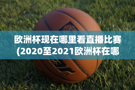 欧洲杯现在哪里看直播比赛(2020至2021欧洲杯在哪里可以看直播)