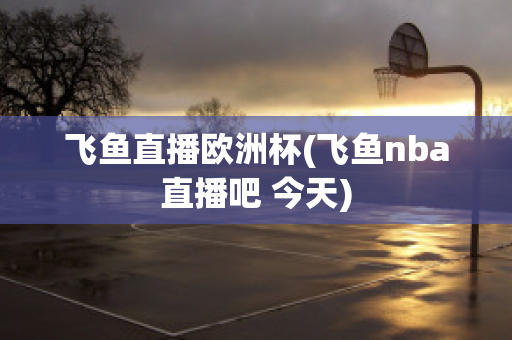 飞鱼直播欧洲杯(飞鱼nba直播吧 今天)