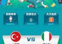 欧洲杯足球比分直播网:欧洲杯足球实时比分