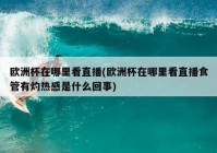 咪咕视频欧洲杯直播延时:咪咕视频欧洲杯直播延时多久