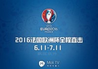 电视什么频道直播欧洲杯:电视什么频道直播欧洲杯的