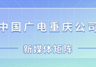 欧洲杯直播微博:欧洲杯直播微博官网