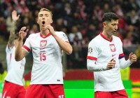 欧洲杯波兰德国直播:欧洲杯波兰德国直播回放