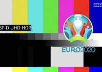 欧洲杯直播纠纷事件视频:欧洲杯直播事故