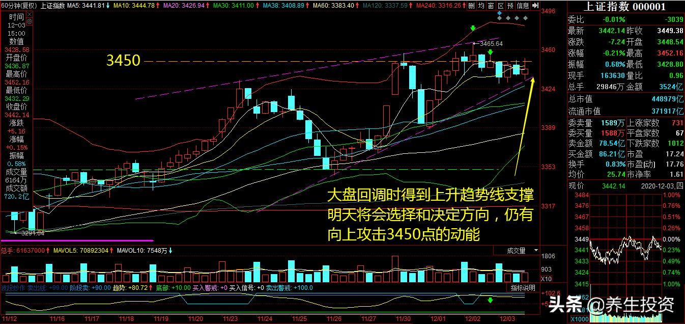 欧洲杯决赛场外直播:欧洲杯决赛网络直播