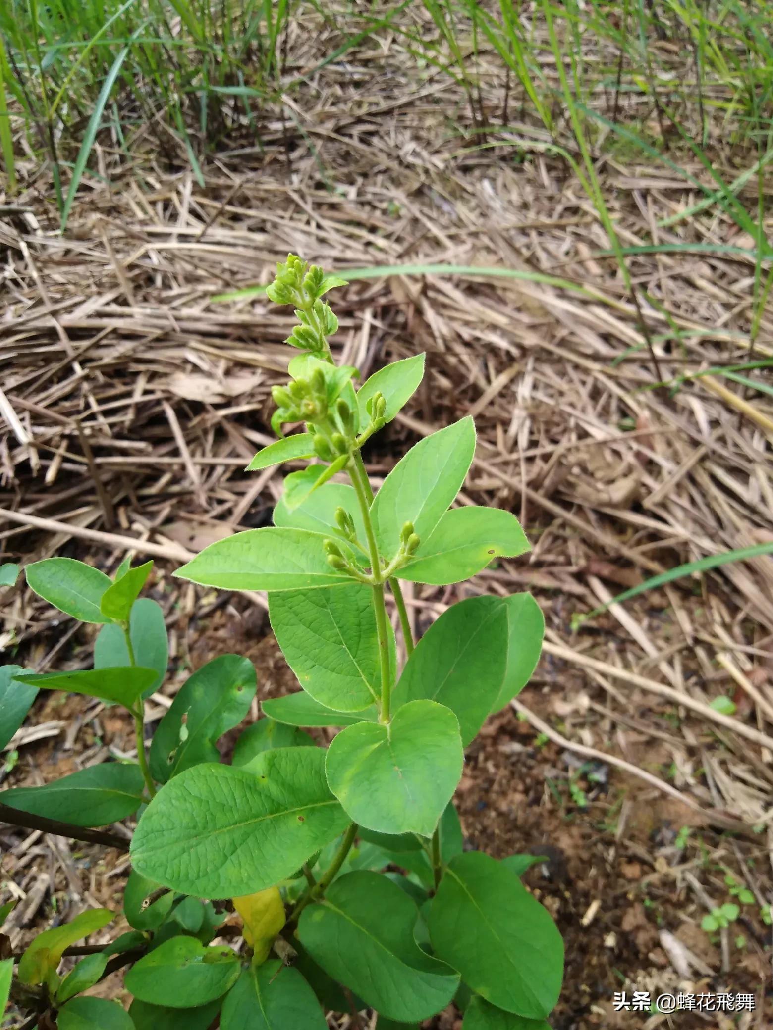 平邑县哪里看欧洲杯直播:平邑县哪里看欧洲杯直播的