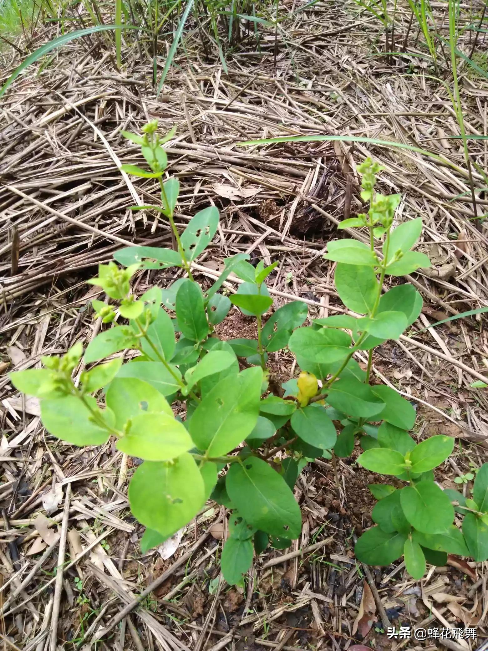 平邑县哪里看欧洲杯直播:平邑县哪里看欧洲杯直播的