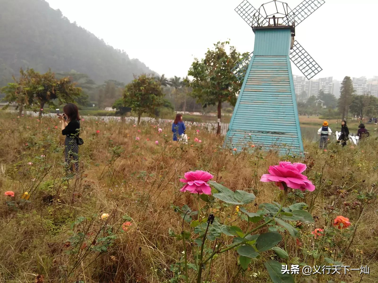 在东莞哪里看欧洲杯直播:在东莞哪里看欧洲杯直播的