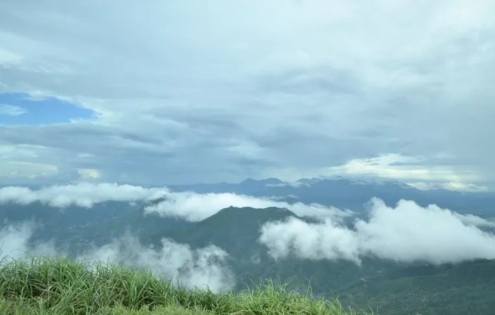 茂名哪里可以看欧洲杯直播:茂名哪里可以看欧洲杯直播的