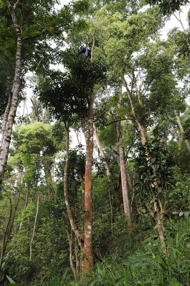 欧洲杯冰岛直播时间表格:欧洲杯冰岛直播时间表格图