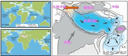 蓝鲸体育欧洲杯直播:蓝鲸体育欧洲杯直播在哪看