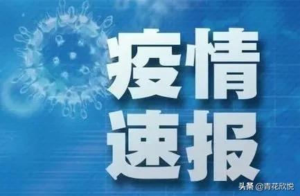 清吧现场直播欧洲杯视频:清吧现场直播欧洲杯视频回放