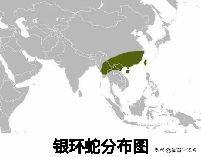 欧洲杯德国滑翔伞视频直播:欧洲杯德国滑翔伞视频直播回放