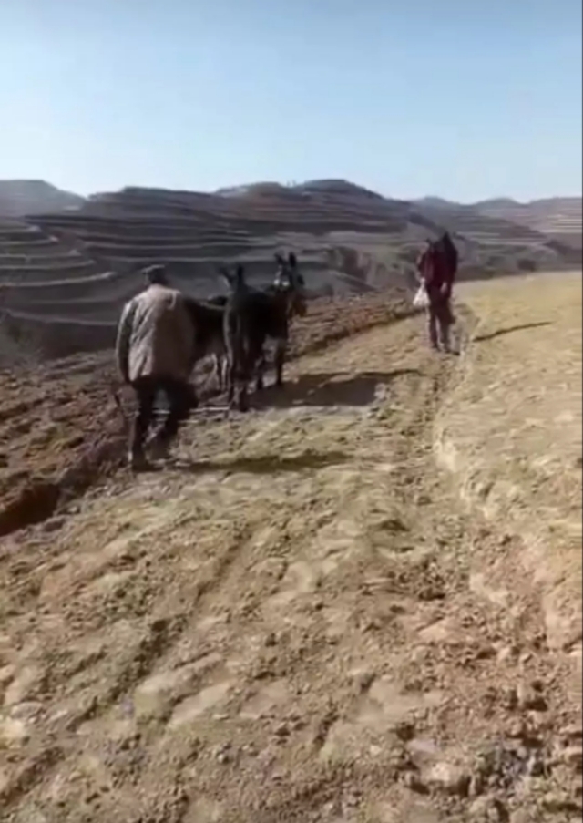 欧洲杯西瓜直播:欧洲杯西瓜直播在哪看