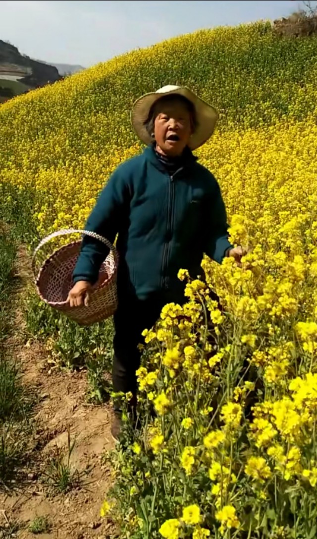 欧洲杯西瓜直播:欧洲杯西瓜直播在哪看