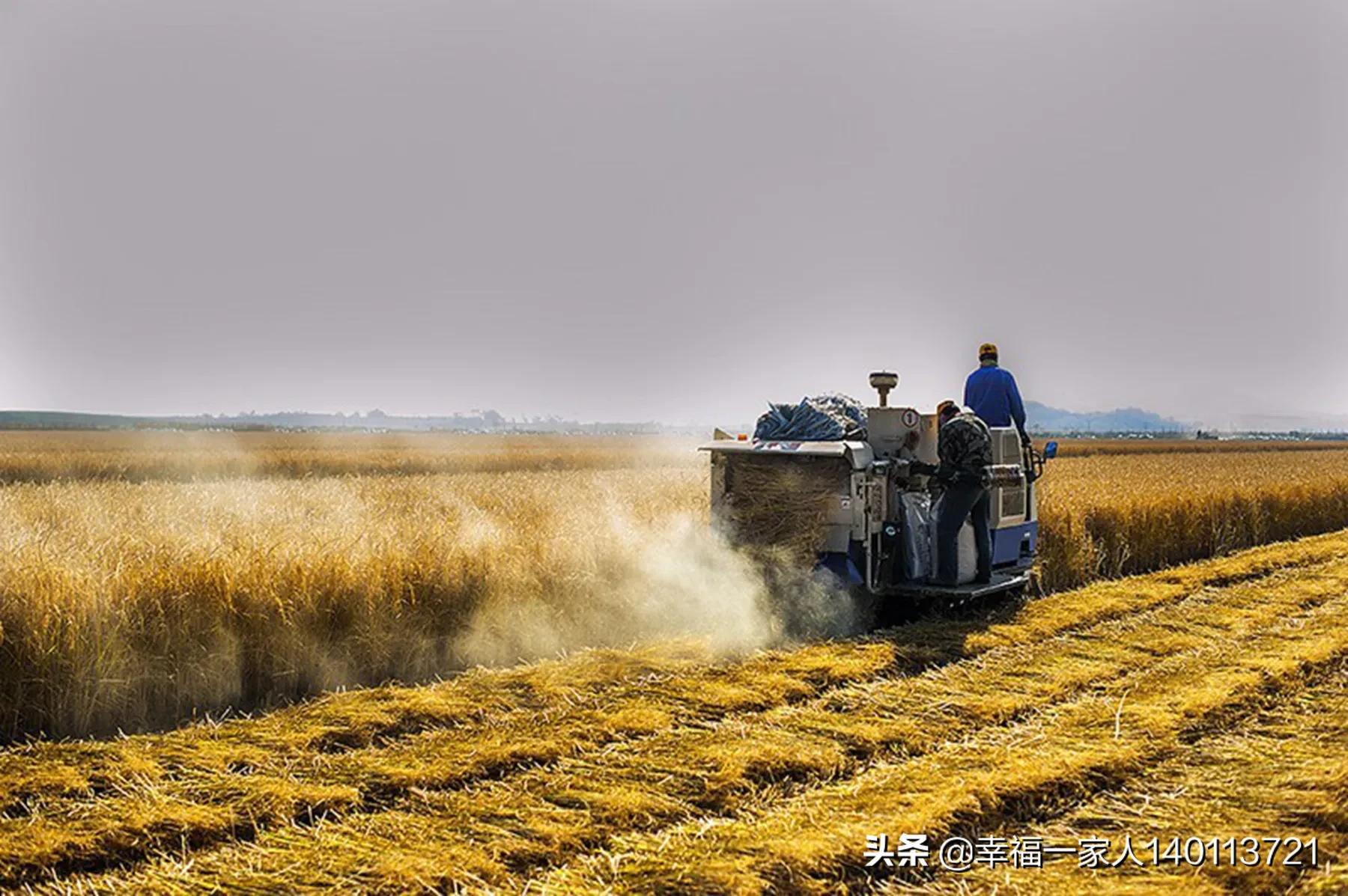 欧洲杯大涨实况直播视频:欧洲杯大涨实况直播视频回放