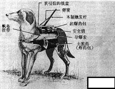 徐州看欧洲杯直播在哪里看:徐州看欧洲杯直播在哪里看啊