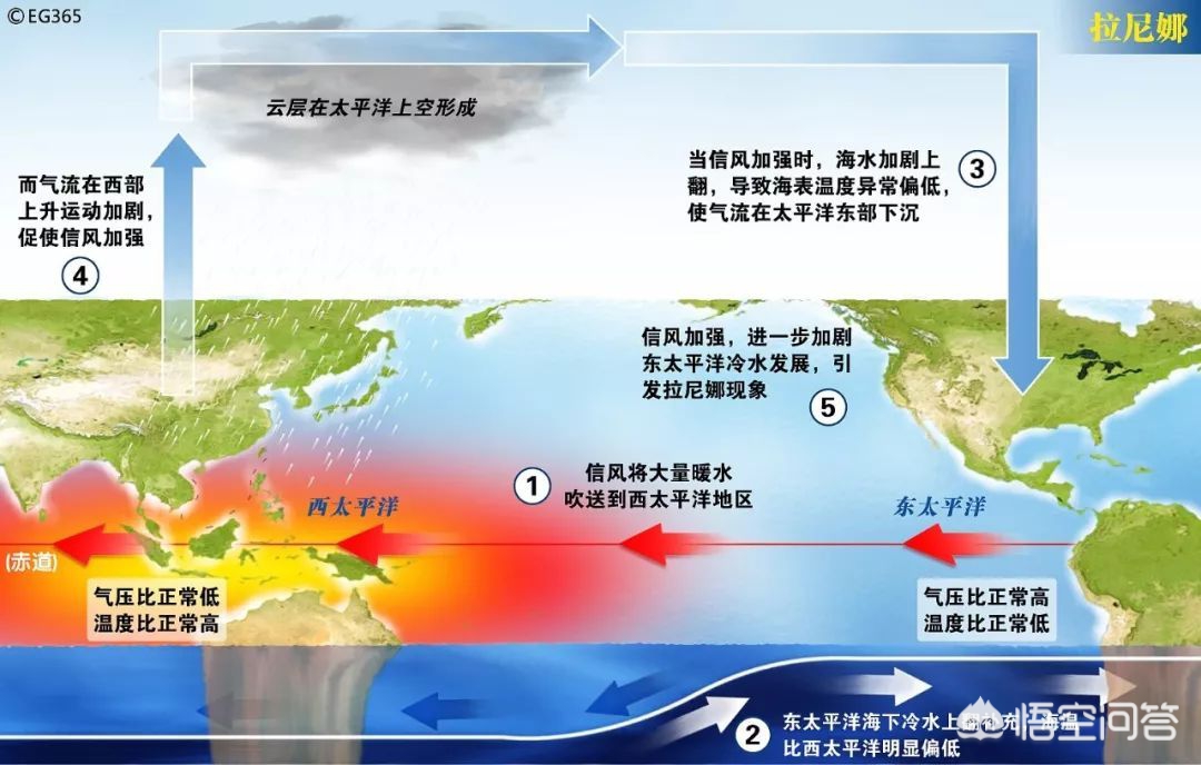 海口欧洲杯大屏直播在哪看:海口欧洲杯大屏直播在哪看啊