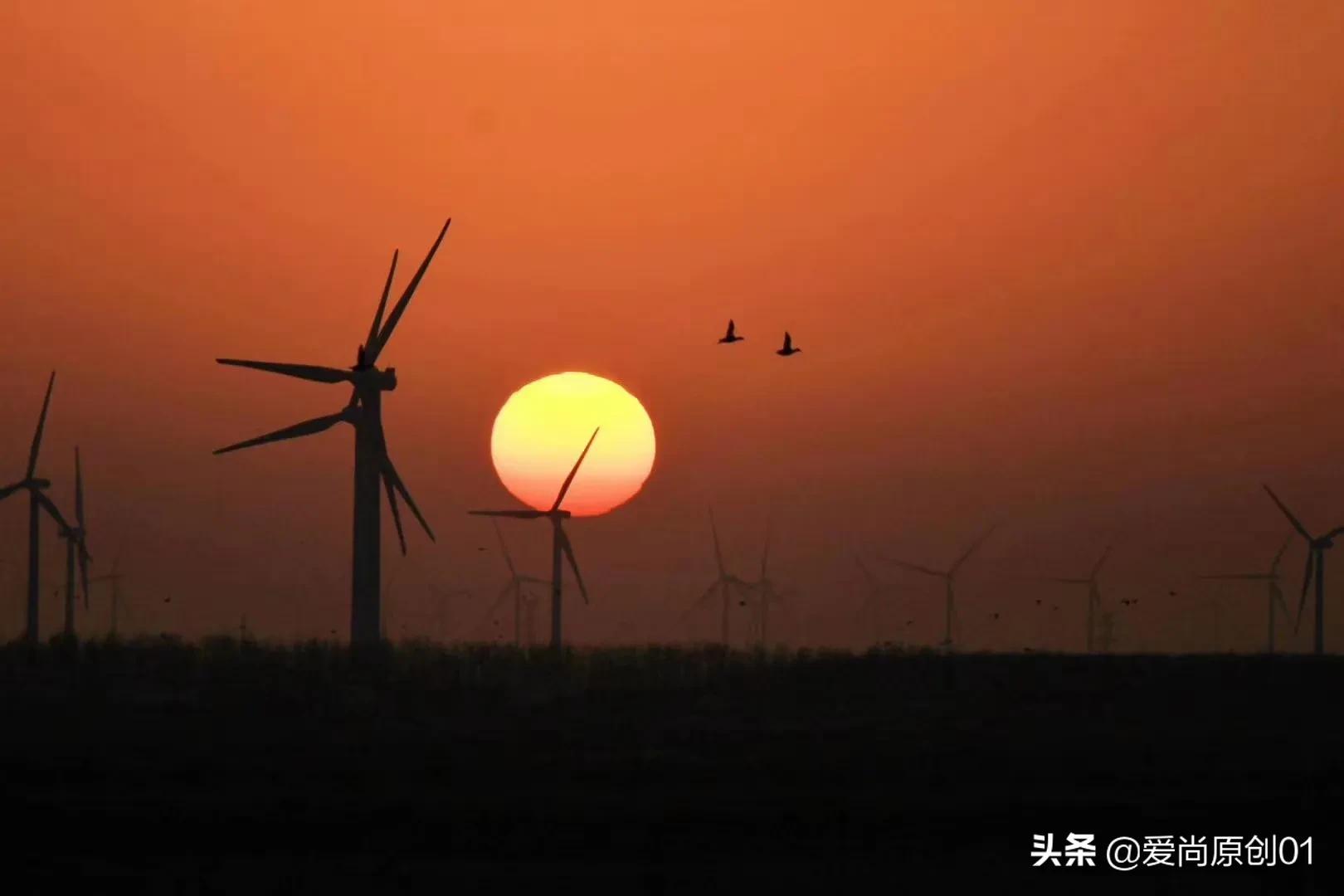 梧州欧洲杯直播时间:梧州欧洲杯直播时间表