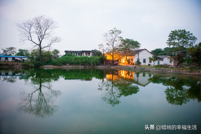 不同球迷看欧洲杯直播:不同球迷看欧洲杯直播