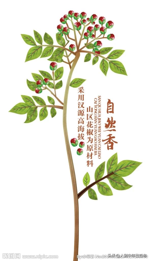 花椒直播可以看欧洲杯比赛吗:花椒直播可以看欧洲杯比赛吗视频